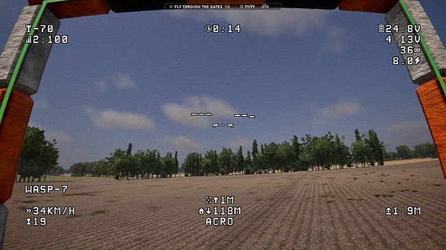 FPV Strike