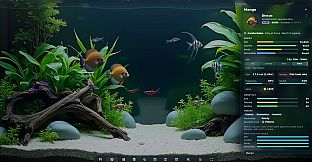 My Beautiful Aquarium