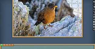 Jigsaw Puzzle Pack - Pixel Puzzles Ultimate: PP2 Birds