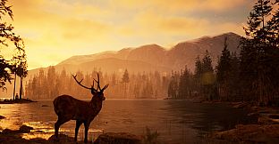 Photography Simulator