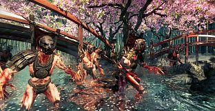 Shadow Warrior: Special Edition