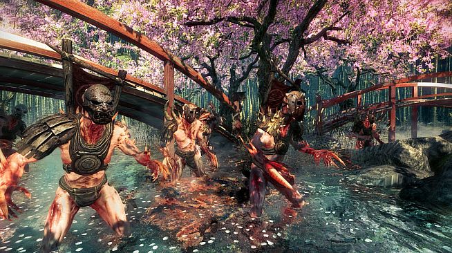 Shadow Warrior: Special Edition
