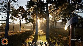 Cowboy Life Simulator