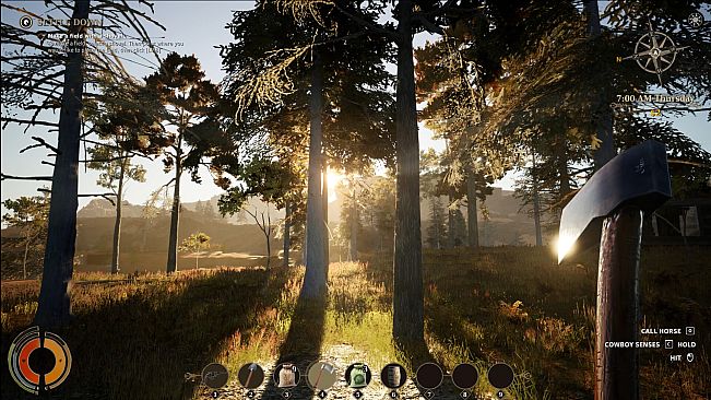 Cowboy Life Simulator