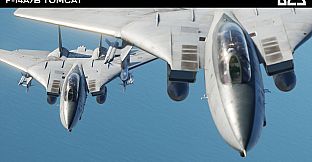 DCS: F-14A/B Tomcat by Heatblur Simulations