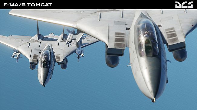 DCS: F-14A/B Tomcat by Heatblur Simulations