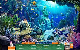 First Time in Hawaii