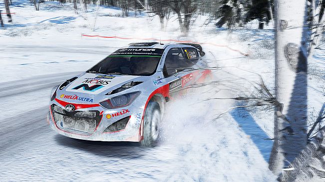 WRC 5 - WRC eSports Pack 2