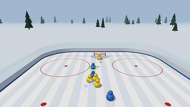 Bird Hockey League