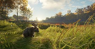 theHunter: Call of the Wild - Free Species: European Rabbit
