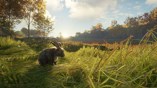 theHunter: Call of the Wild - Free Species: European Rabbit