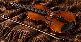 Puzzle Musical Instruments