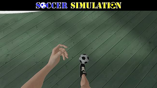 Soccer Simulation