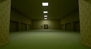 The Backrooms Footage