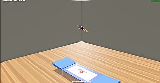 Gymnastics Simulator