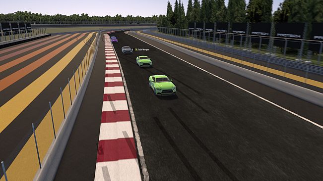 SIM SPORTS RACING