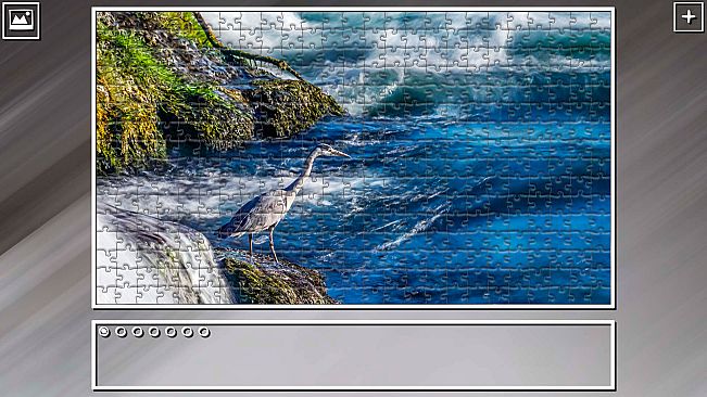 Super Jigsaw Puzzle: Generations - Birds 2
