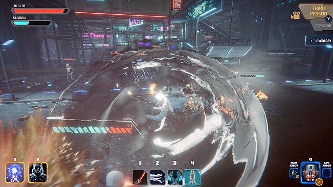 Fragmented Echoes: Veil of Memories