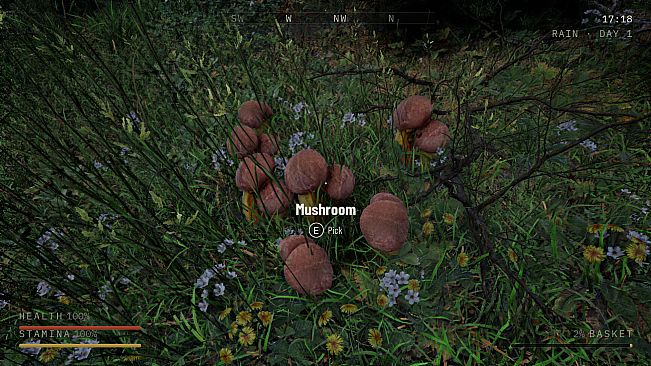 Holy Shroom!