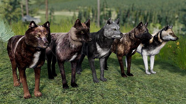 WolfQuest Anniversary - Building Character Pack