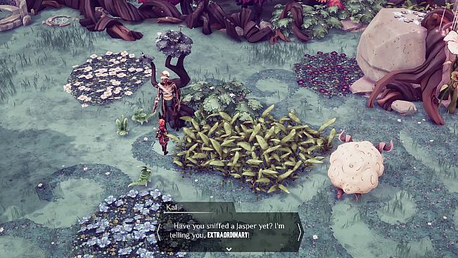 Nanotale - Typing Chronicles