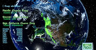 Markerboard Jungle: Frogs