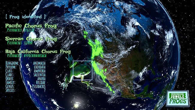 Markerboard Jungle: Frogs