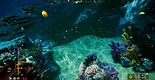 Deep Diving Adventures 2