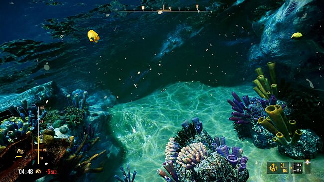 Deep Diving Adventures 2