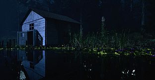 "217" A Psychological Survival Thriller