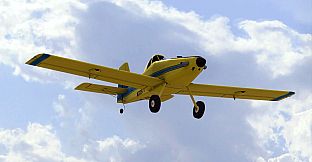 RealFlight Evolution - 2023 Year Content Pass