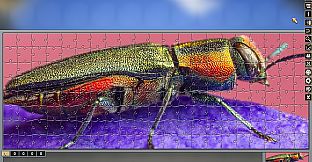 Pixel Puzzles Traditional Jigsaws Pack: Colorful Animals