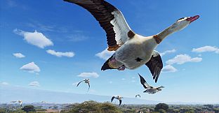 Way of the Hunter - Tikamoon Plains