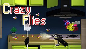 Crazy Flies