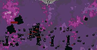 Null Orbit