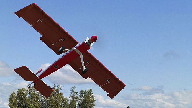 RealFlight Evolution - 2023 Year Content Pass