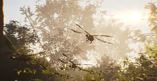 The Undergrowth