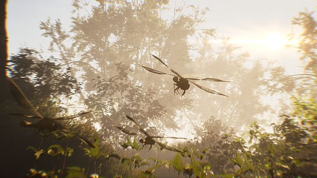 The Undergrowth