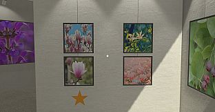 Plant Gallery: A Short Botanic Experience