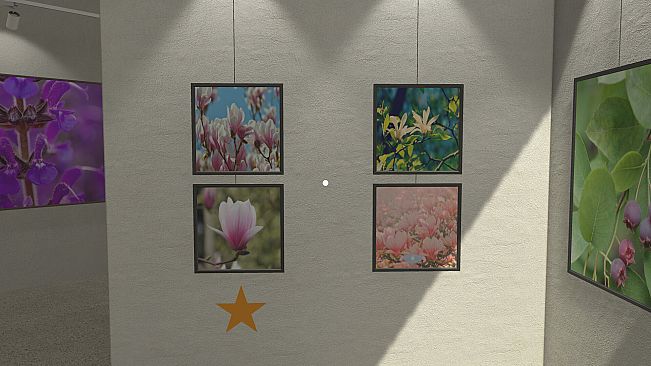 Plant Gallery: A Short Botanic Experience