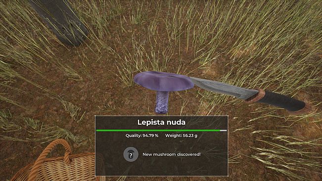 Mushroom Hunter World