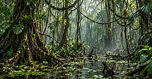 Puzzle Jungle