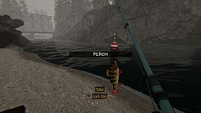 Face of Fear: The Forester