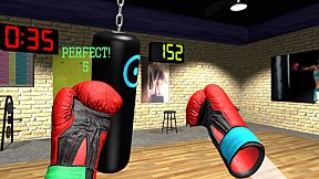 VR Boxing Workout