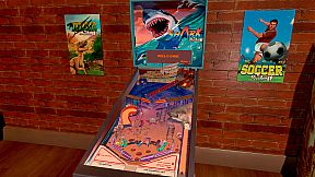 Wild Pinball Bundle