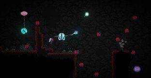 seed