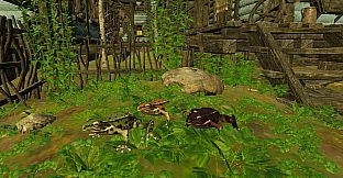 Animals for Clip maker