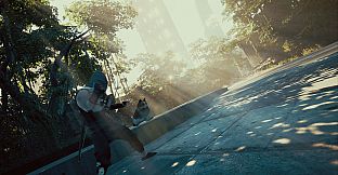 ShadoWave - Revenger