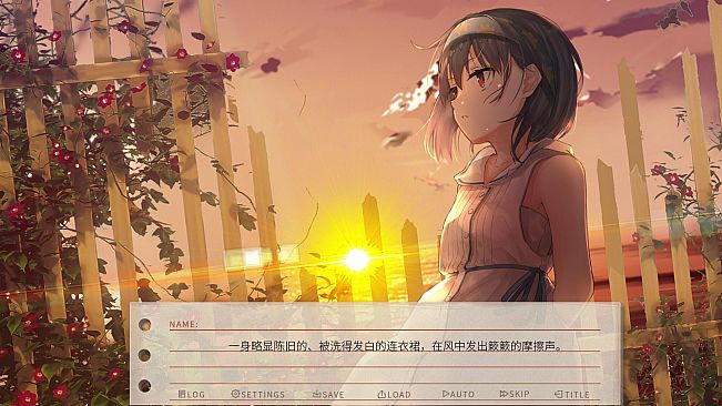 The Last Companion-我与我行将离去的小友。