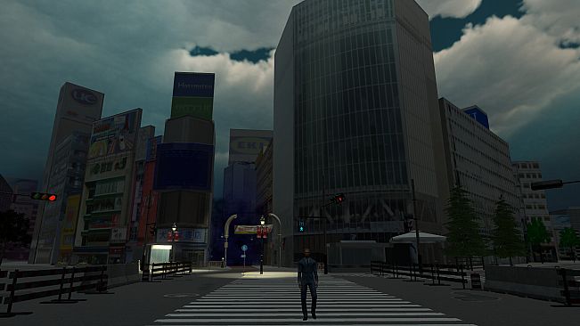 Anomalous Crossing ~Shibuya~